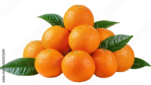 Fotografie Heap of ripe oranges with green leaves, isolated on transparent background
