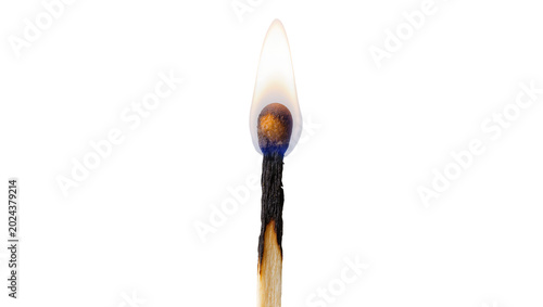 Quadro su tela Burning match with bright flame, isolated on transparent background