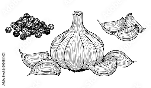 Konstfotografi Black and white illustration of garlic bulbs and cloves with peppercorns