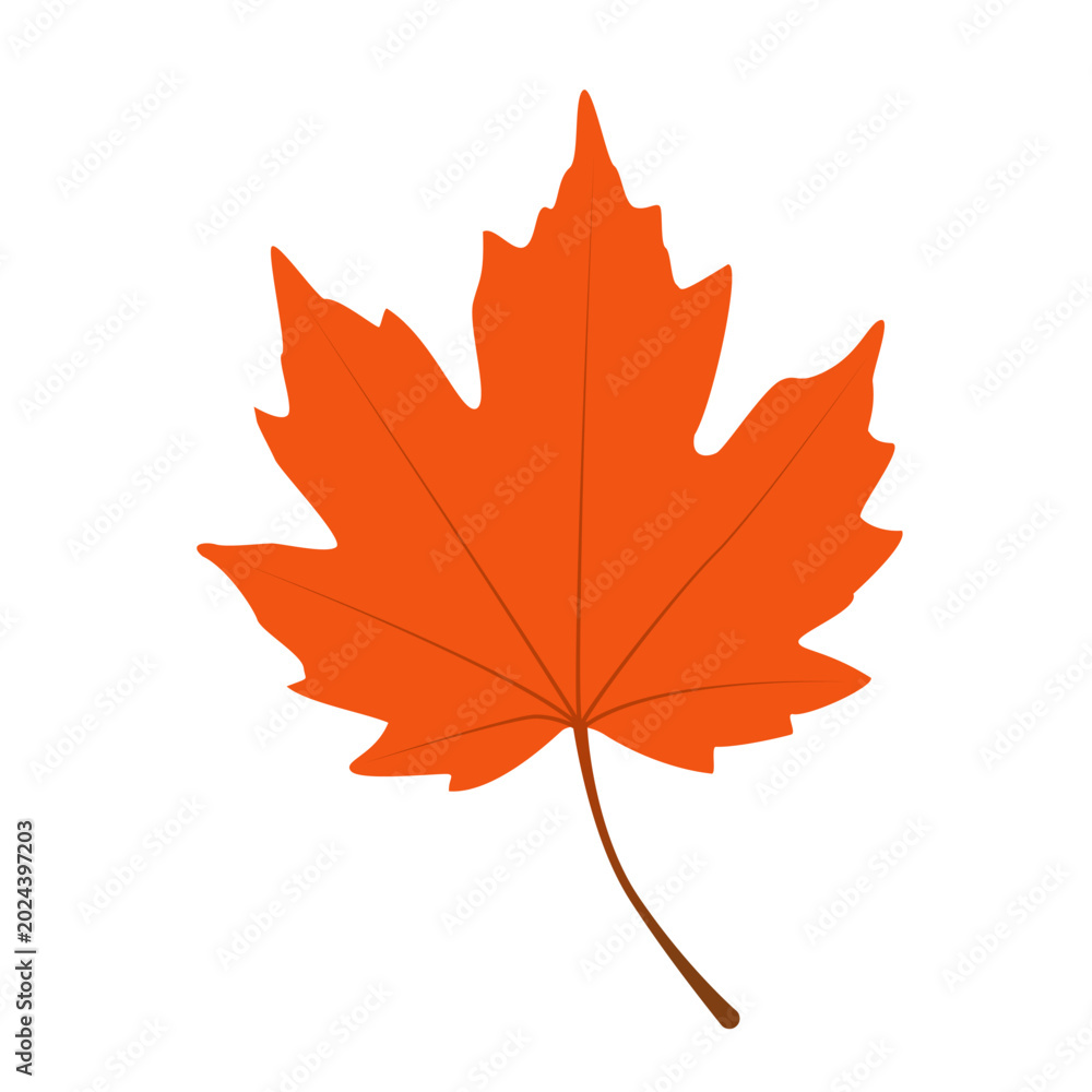 Fototapeta premium Red Yellow Maple Leaf, Autumn Forest Flat Vector Illustration