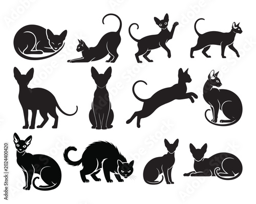 Cuadro en lienzo Cornish Rex and Sphynx cat silhouettes set, elegant vector feline poses
