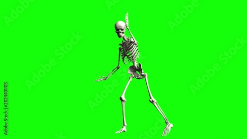 Dancing human skeleton on green screen