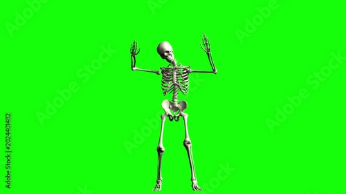Dancing human skeleton on green screen