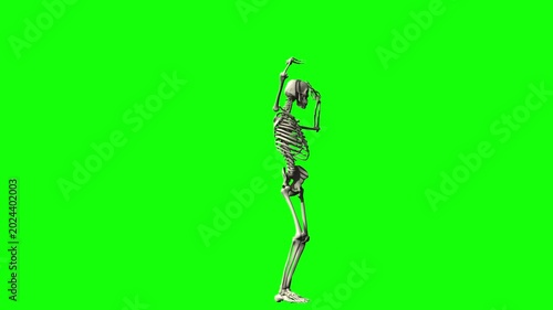 Dancing human skeleton on green screen