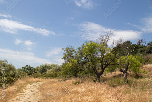 Footpath at Cacela Velha, Algarve, Portugal