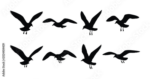 Foto Seagull silhouette vector set, flying sea bird icons in black isolated on white,
