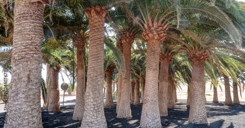 Foto rues de Betancuria, Fuerteventura, CANARIES