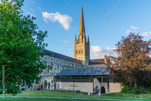 Bild auf Leinwand Evening light on Norwich Cathedral