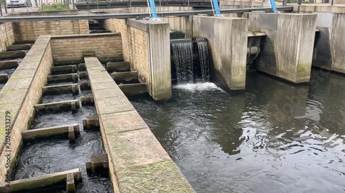 Fish ladder for salmon migration upriver