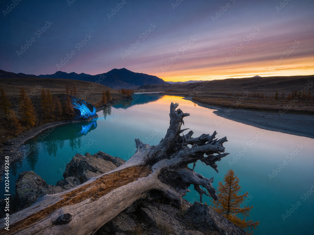 Fototapeta premium Autumn in Altai Republic: Golden Larch Forests and Alpine Streams