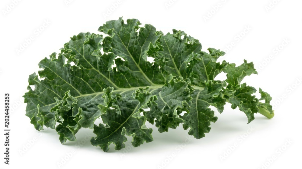 Fototapeta premium Fresh Green Kale Leaf Isolated on White