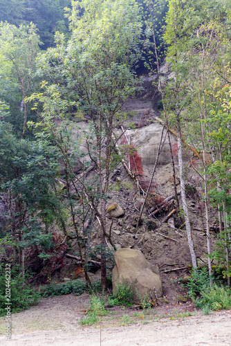 Forest in Germany, landslide