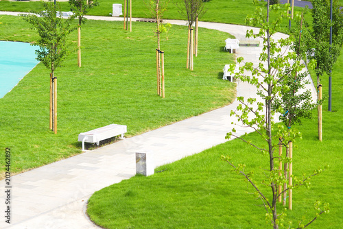 Fotografía Curving pedestrian route crossing freshly landscaped green zone with recently planted support-staked trees