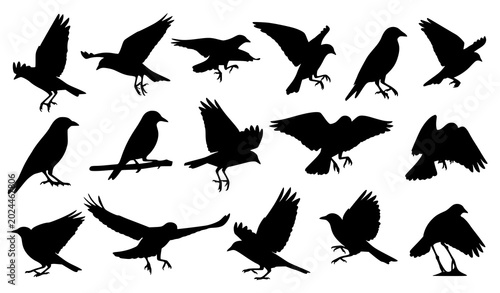 Photos Collection of black silhouette birds in various flying and perching poses vector