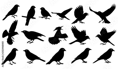 Foto Collection of black silhouette birds in various poses for graphic design and ill