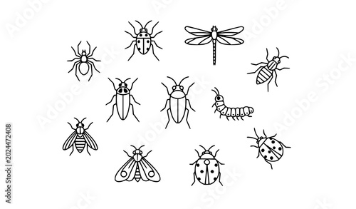 Fotografie Hand Drawn Insect and Bug Doodle Outline Vector Illustration Set