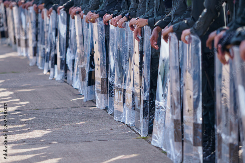 Fototapeta premium Riot police training annual review 