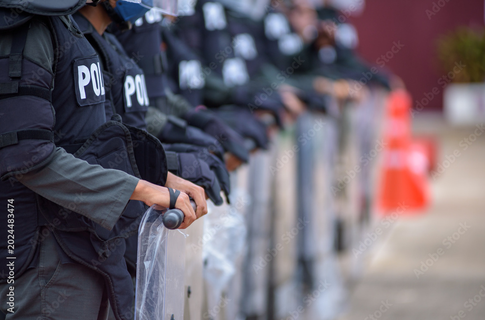 Fototapeta premium Riot police training annual review 