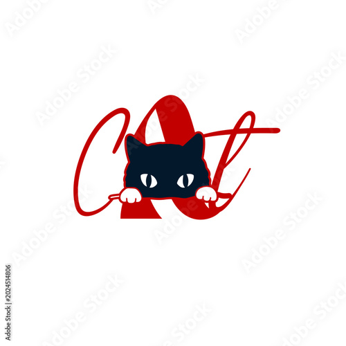 cat and mouse