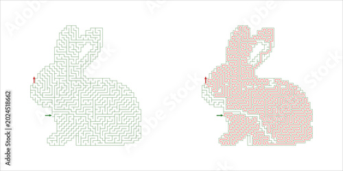  A complex rabbit maze