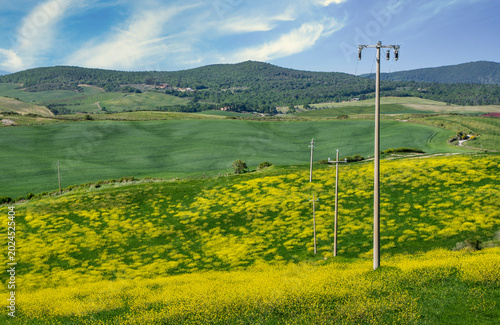 Landschaft an der Panoramastraße zwischen den toskanischen Dörfern San Quiricio und Pienza, Toskana, Italien, Europa