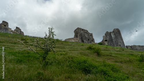Schilderij op canvas Corfe Castle - Dorset, Purbeck Hills, England