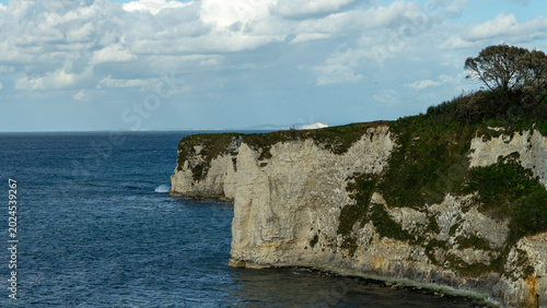 Old Harry Rocks on the Jurassic Coast in Dorset, England, UK