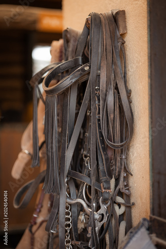 Beautiful horses and equestrian details / Caballos y detalles ecuestres