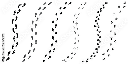 Canvastavla Set of vector trail footprints on transparent background: human shoe prints, barefoot steps, animal and bird tracks
