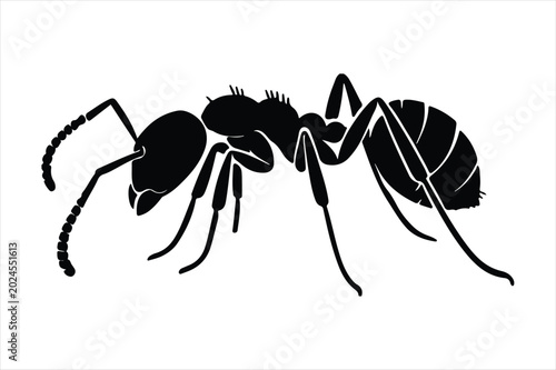 Photos Black ant silhouette on a white background detailed insect vector