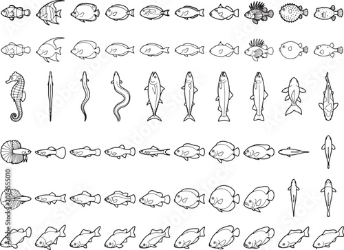 An assortment of hand-drawn, black-and-white illustrations featuring a variety of marine life, including fish, seahorses, and eels, presented in a grid format.