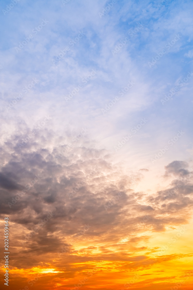 Fototapeta premium Sky sunset,Beautiful sunrise sky with vibrant gradient orange and gold colors and soft blue, Clear atmosphere with wispy clouds. Peaceful, perfect for background and copy space, vertical