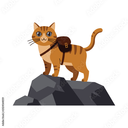 An adventurous orange cat with a backpack standing on a mountain rock.