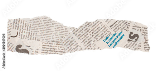 Quadro em tela Torn newspaper clipping with French text
