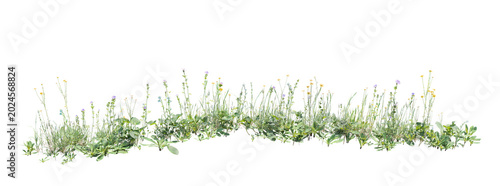 Wild grass and flowers isolated on transparent background 3D render