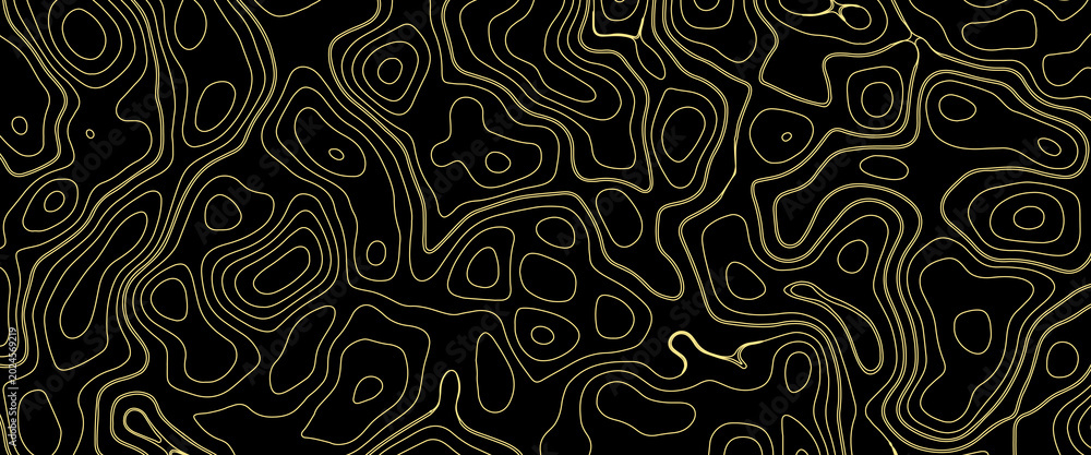 Fototapeta premium Abstract pattern luxury dark black with gold. premium background patterns