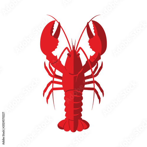 A vibrant red lobster illustration stands alone in a clean environment.