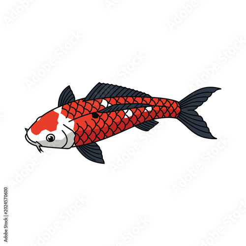 A vibrant orange koi fish swims gracefully in water with fins and scales on display.