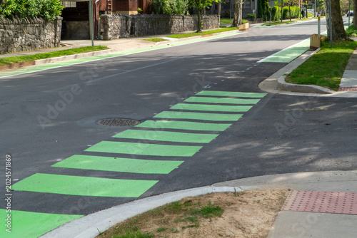 Fotografi Bright green pedestrian crosswalk and bike lane markings on an asphalt road in a