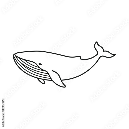 A large whale swims through the ocean with its fins and tail visible.