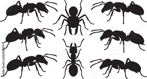 Tableau sur toile Set of black silhouettes of ants in various poses on white background