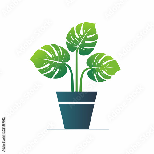 Elegant monstera plant in a modern geometric ceramic pot, a clean vector icon