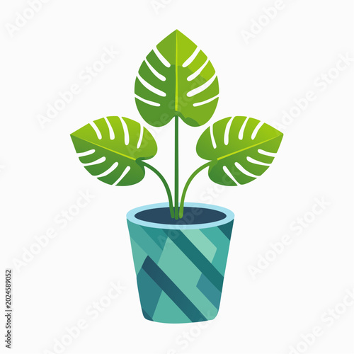 Elegant monstera plant in a modern geometric ceramic pot, vector icon isolated on transparent background
