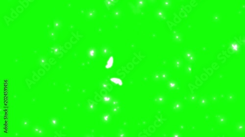 Butterflies flying on green screen with white particles