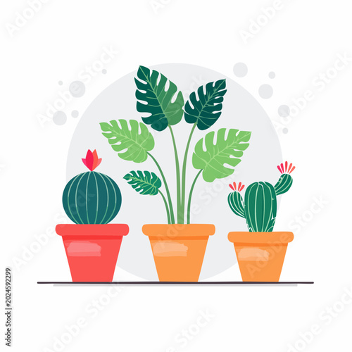 Three Potted Houseplants: Cactus and Monstera