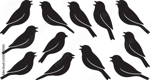 Vászonkép Black silhouettes of multiple birds on white background  various poses