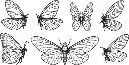 Tableau sur toile Black and white butterfly wings patterns vector design Vector