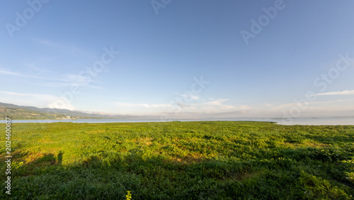 Expansive Green Field Beside Calm Lake Under Blue Sky