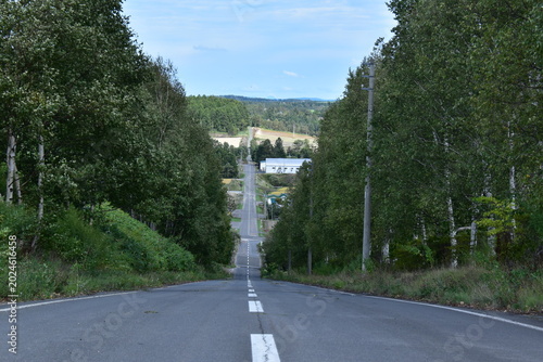 Canvastavla 北海道 ジェットコースターの路