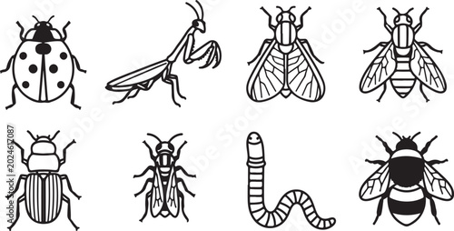 Фотография Collection of cute spider cartoon icons isolated vector Vector